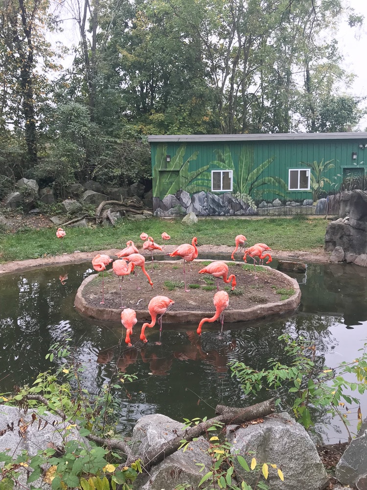 A Weekend In Baltimore Maryland with Toddlers - Where to stay, What to eat, Things to do by popular New Jersey lifestyle blogger Fit Mommy in Heels