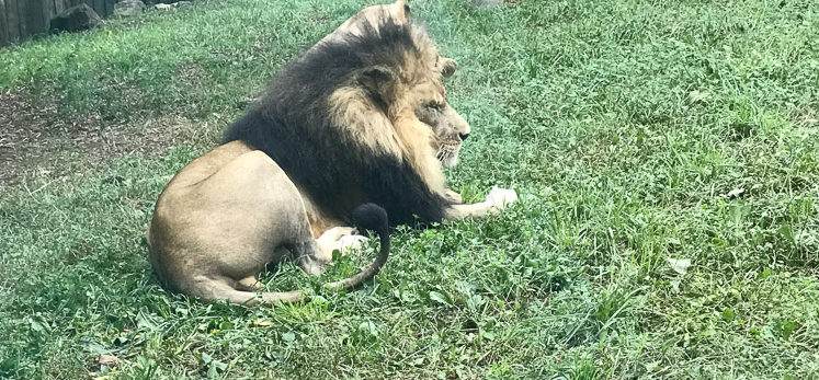 A Weekend In Baltimore Maryland with Toddlers - Where to stay, What to eat, Things to do by popular New Jersey lifestyle blogger Fit Mommy in Heels